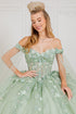 Floral Appliqués Off Shoulder Ball Gown for Women, Sizes 4/XS-16/3X